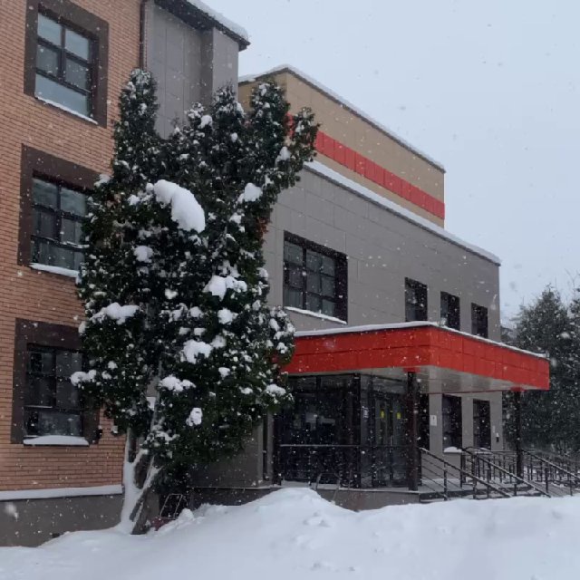 Жизнь в ребцентре Благополучие