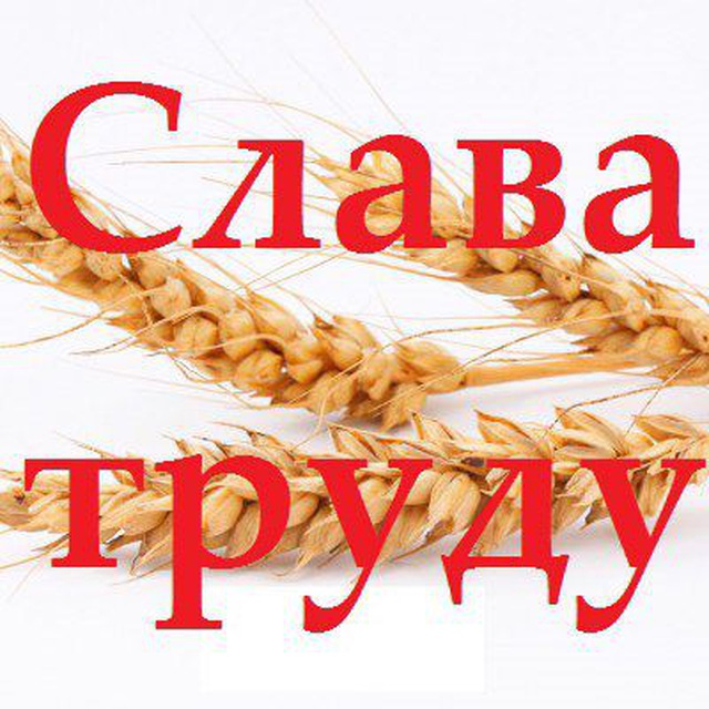 Новости Кашарского района