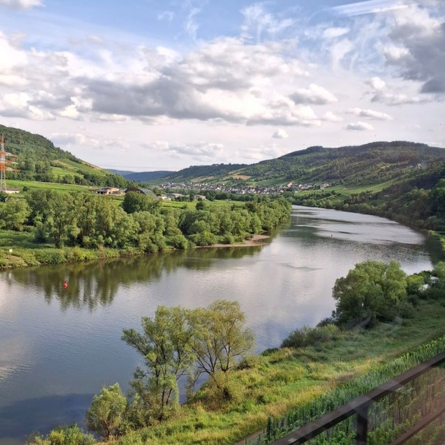 Выборов в России нет. Ивановская область