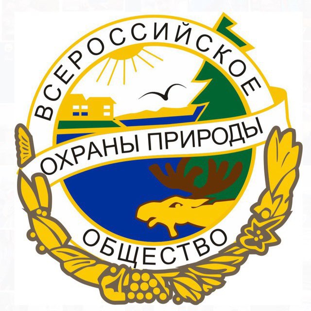 ВООП ЭКОРЕЙД Чат