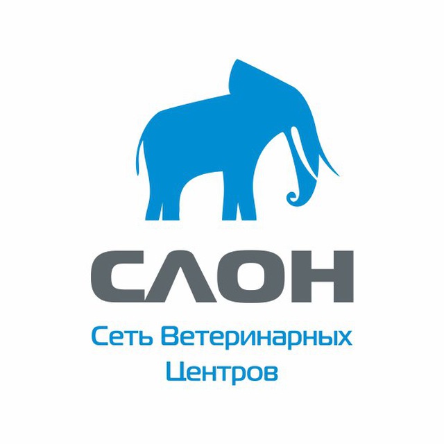 Краснодар Ветеринарный центр Слон