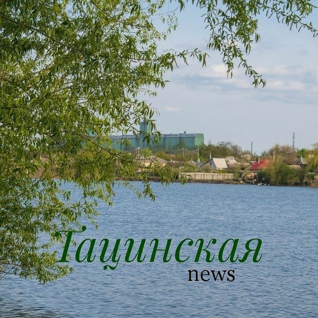 Тацинской район Новости