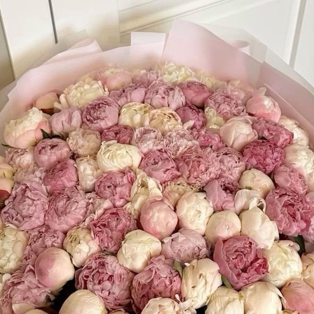 мои мысли.