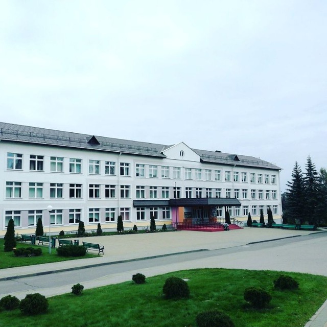 ГУО "Острошицко-Городокская средняя школа"