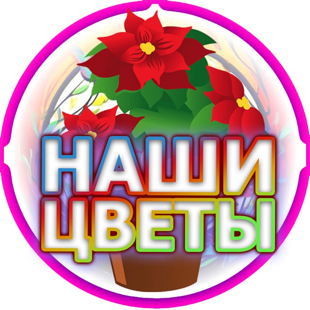 Наши цветы | Советы | Лайфхаки