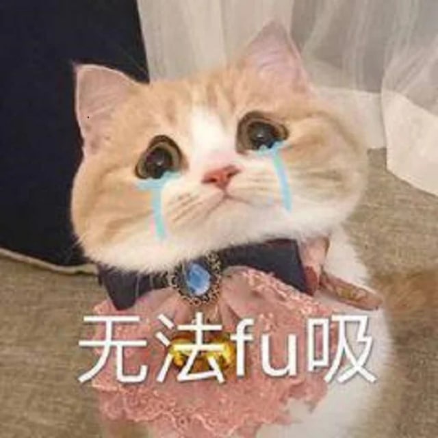 telegram-chat-dog-paopaodog-group