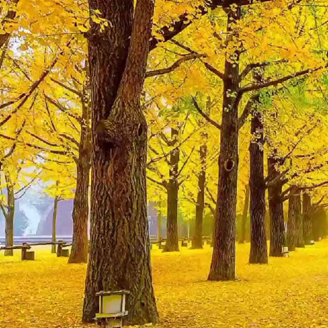 Gomoseksual yigitning shifokorni emishini tomosha qiling