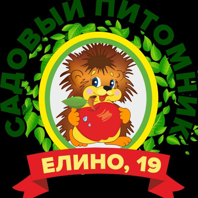 Саженец Клин,Елино 19