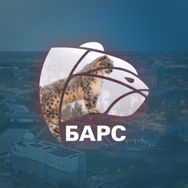 Ивановоньюс Барс