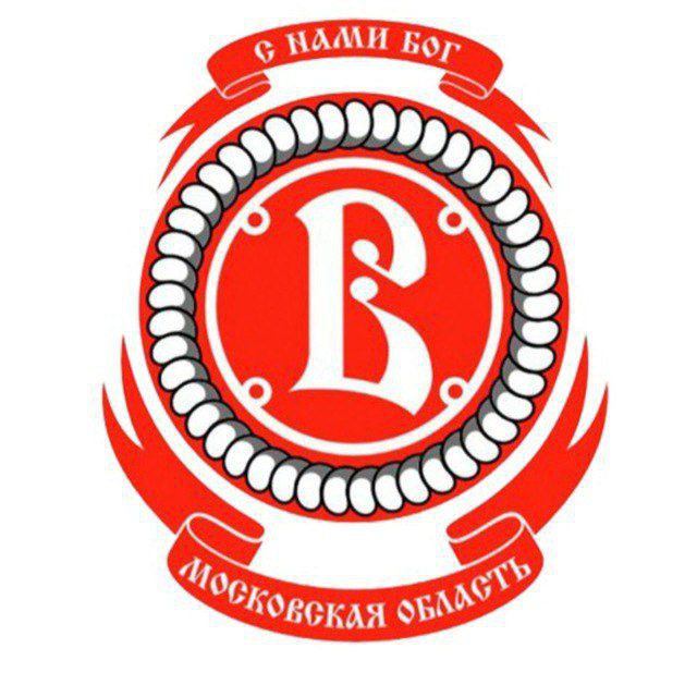 МАУ ДО "СШ "Витязь" имени В.И. Васильева"