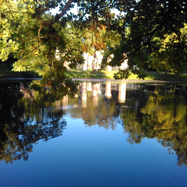 Софья Виге. Творчество без...