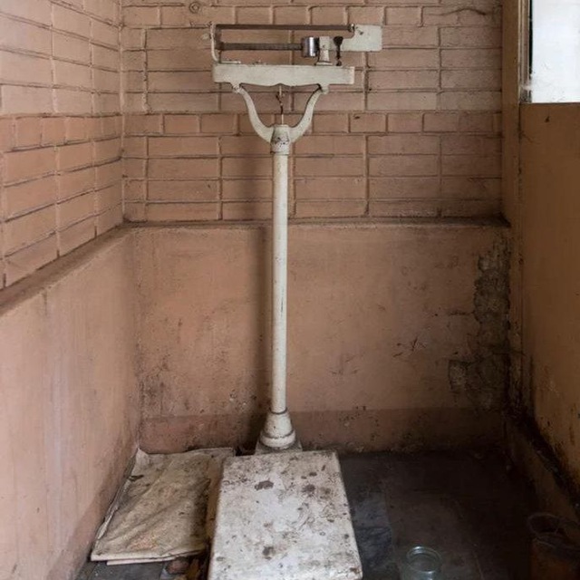 Больница в моей голове