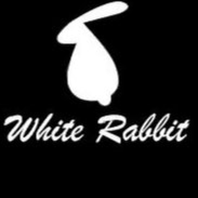 ️️ ? WHITE RABBIT
