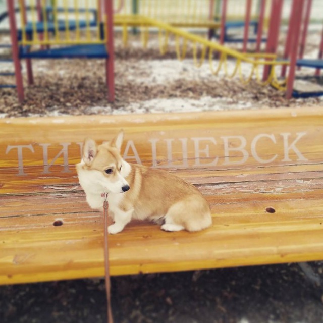 ТИМАШЕВСК НОВОСТИ