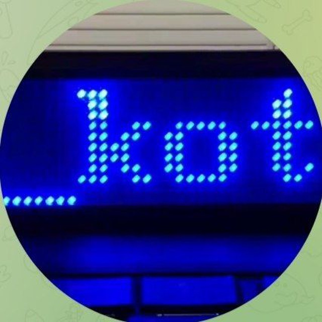 Электро кот