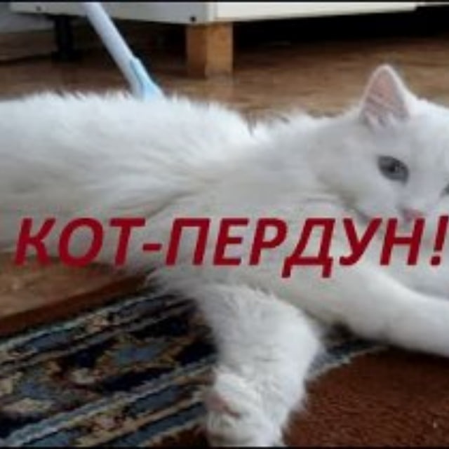 Пиво жизнь красива official