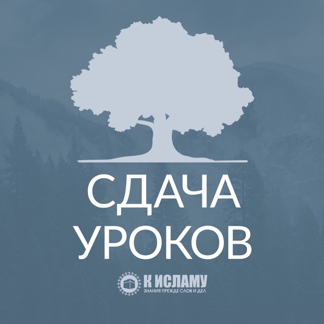 Сдача уроков