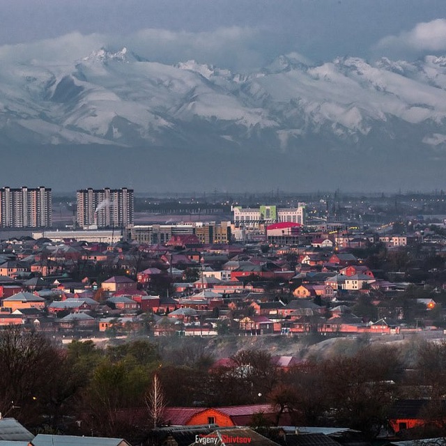 Урус-Мартан | Новости | Недвижимость