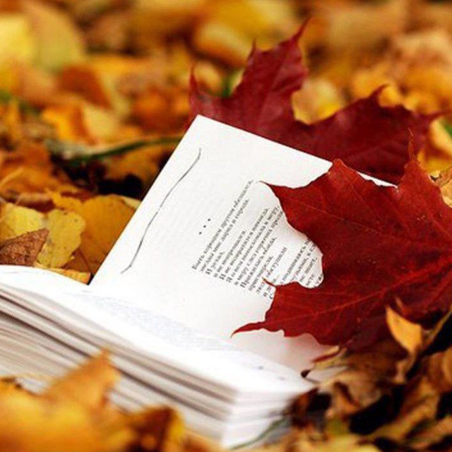 ? Ғᥲᤋᥲ᧘ᥙёᴛ ?