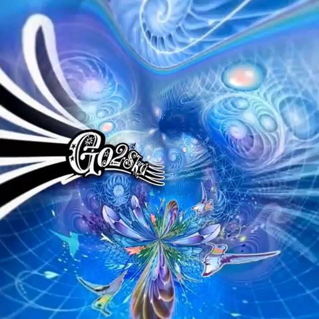 ?✨ GO2SKY