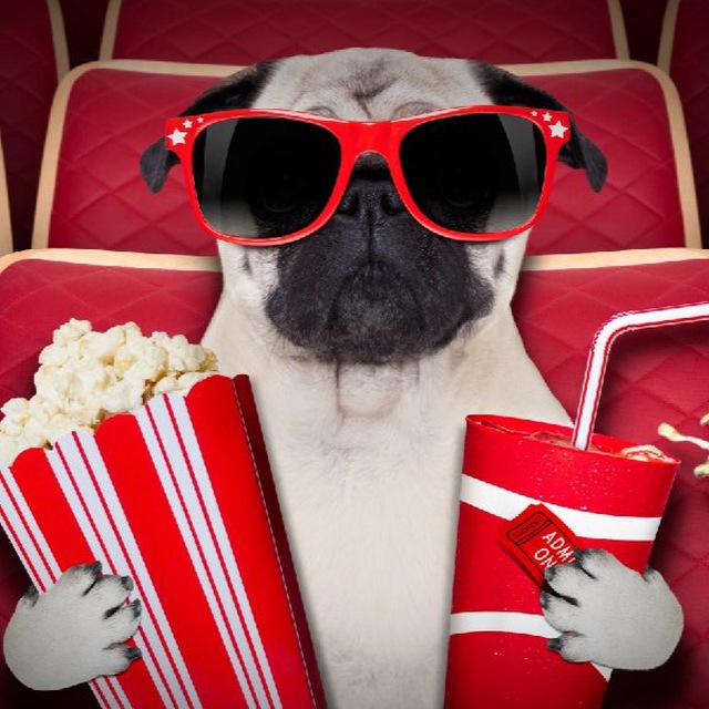 ?КИНОЛАЙН❤️‍?