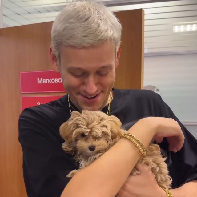 антоха в жопе картоха