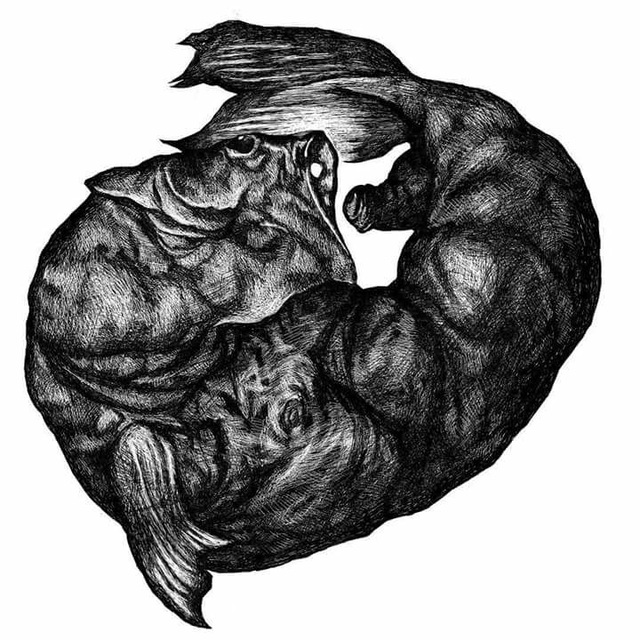 Блог между ног