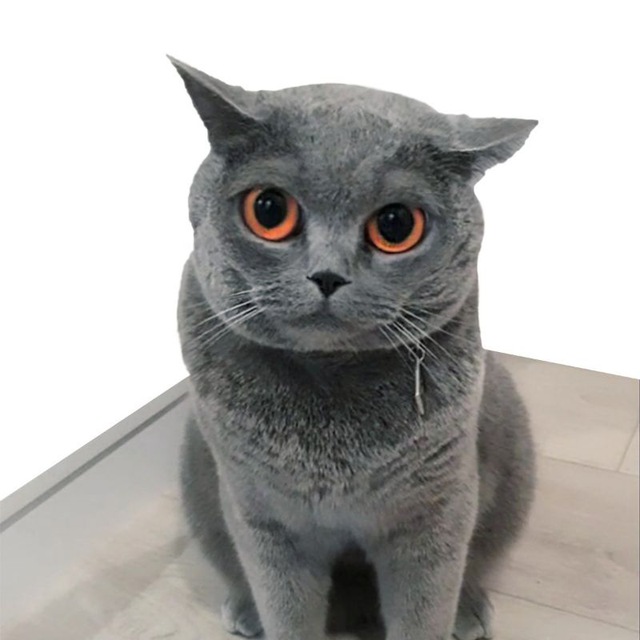 Sky Super Cat