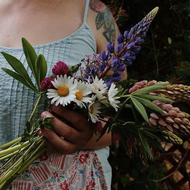 ?Лесными Тропами?