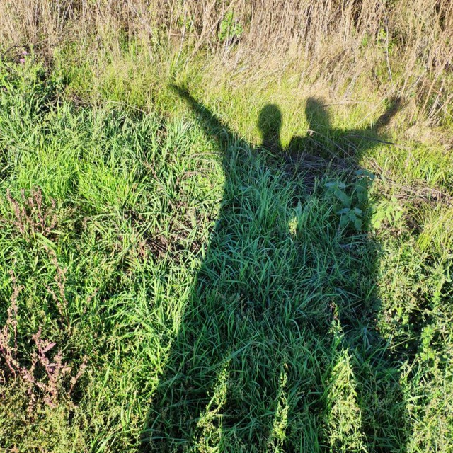 Мануковский(ая)