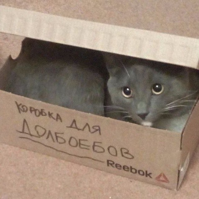 коробка для долбоёбов