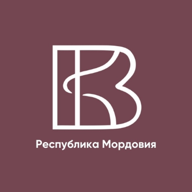 Волонтёры Культуры Мордовии | Добро.Центр