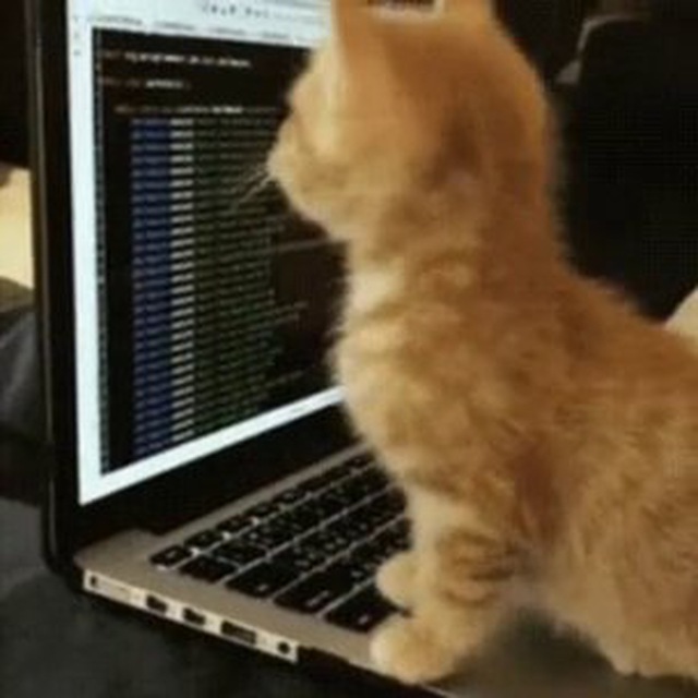 Дешёвый донат Genshin Impact | Honkai Impact | Honkai: Star Rail