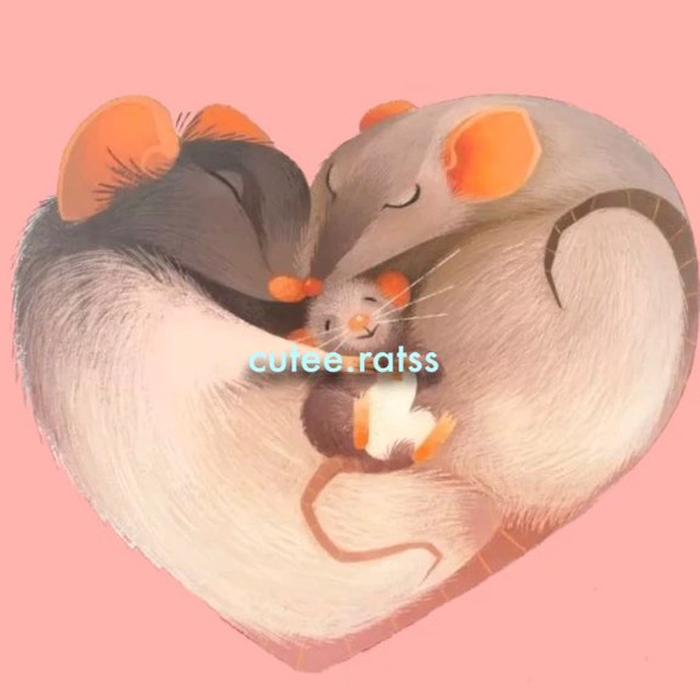 cutee.ratss