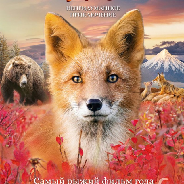 Огненный лис ШПИЛЕНОК ФИЛЬМ