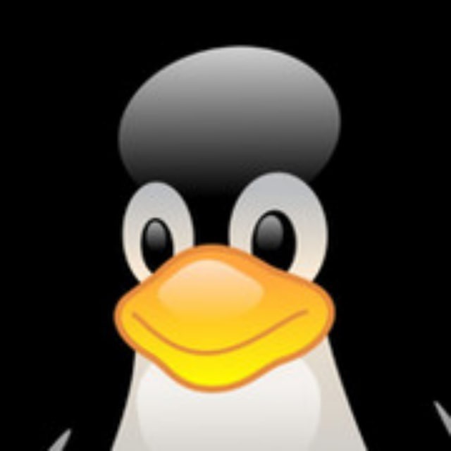 ? Linux Junior. Программирование под Linux.