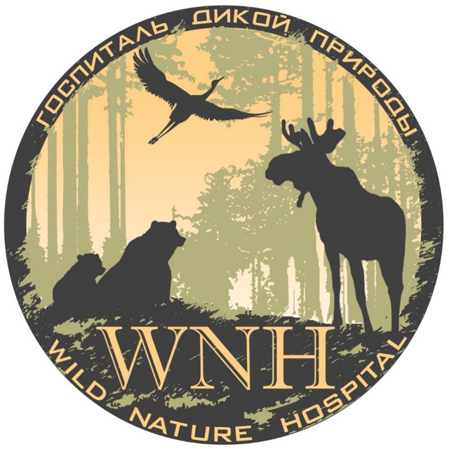 Wild Nature Hospital