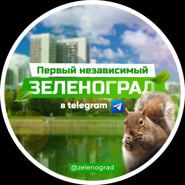 Зеленоград телеграмм
