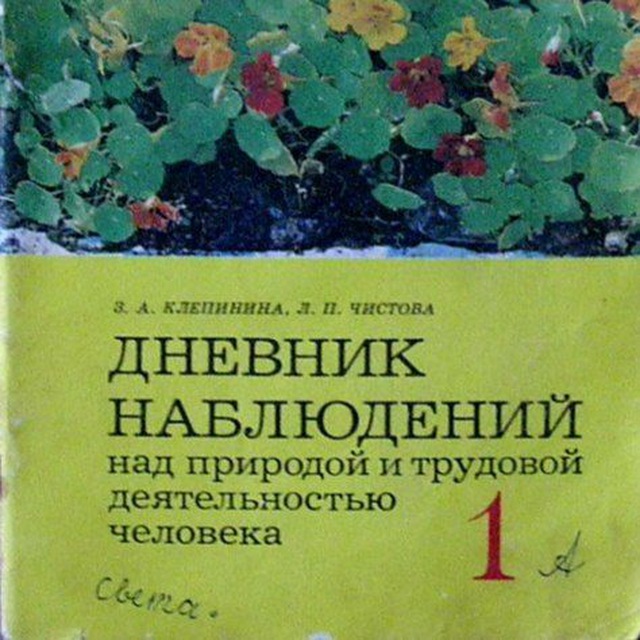 Дневник Наблюдений