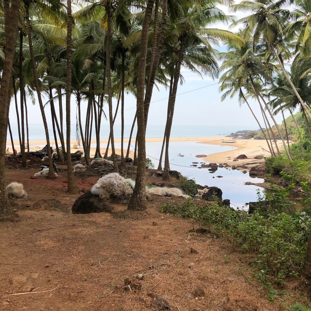 ?️ GOA | Гоанские группы