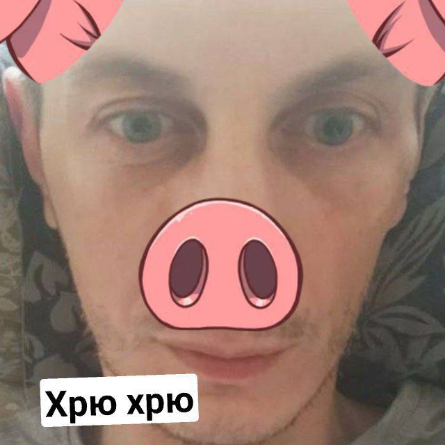 Свинота паша