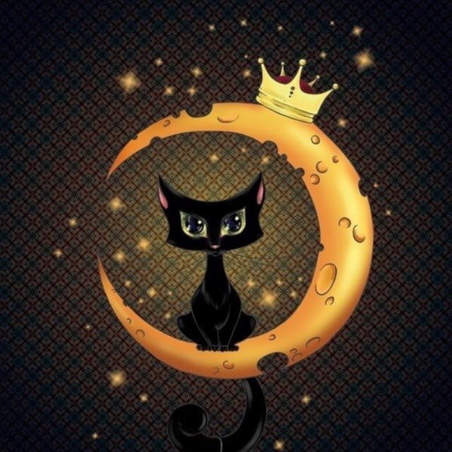 Новостной 24/7????