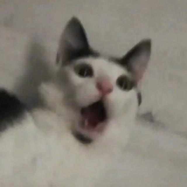 Дед фотоСетор