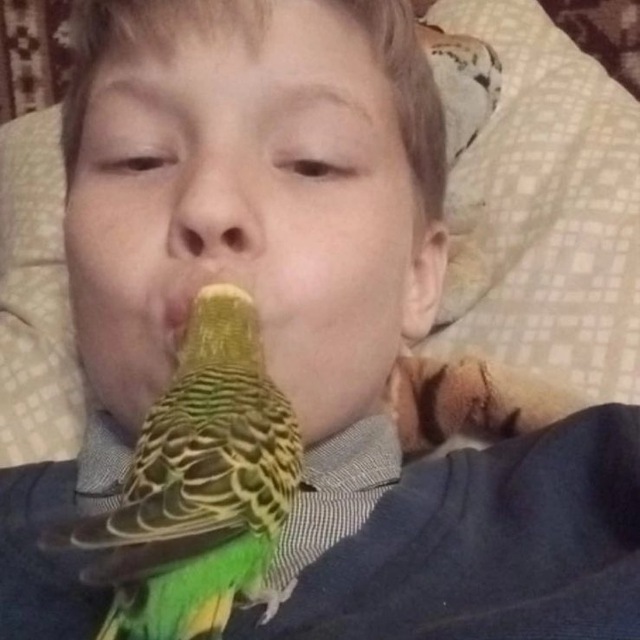 обезьянник