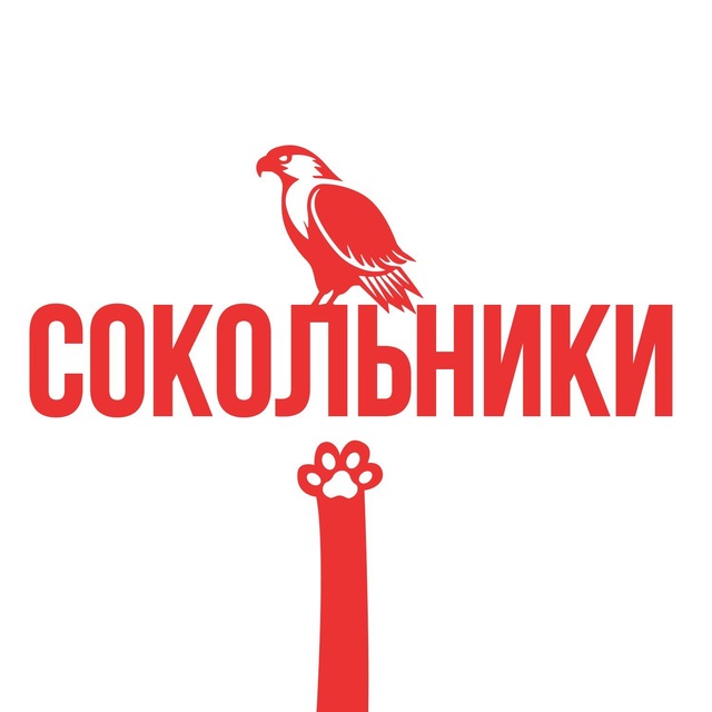 Сегодня в Сокольниках