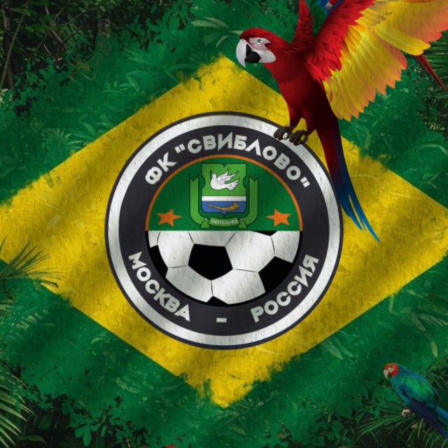 ФК СВИБЛОВО 2010?