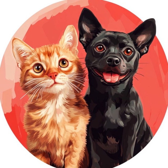 Кошечки & Собачки??