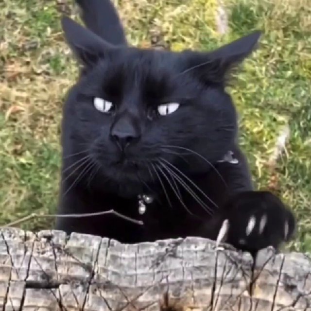 Заметки херофоба?