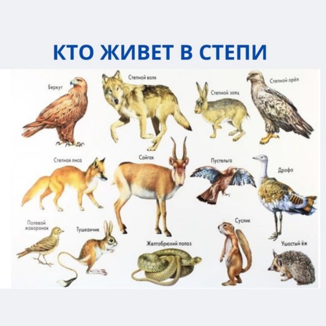Қазақстанда кім кім