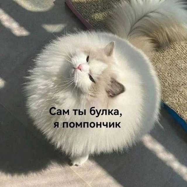 Булочка с корицей